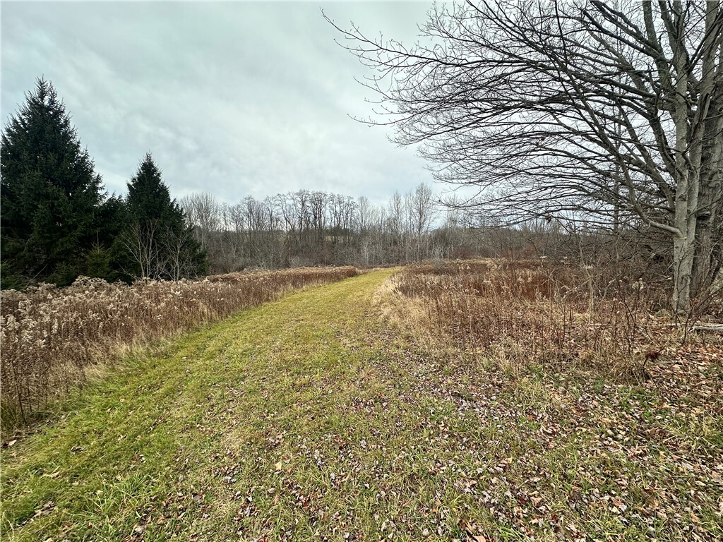 Property Photo: Kostenko Sutton Road NY 13801