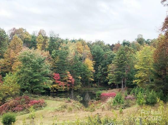 Property Photo: 176 Browntown Road NC 28651