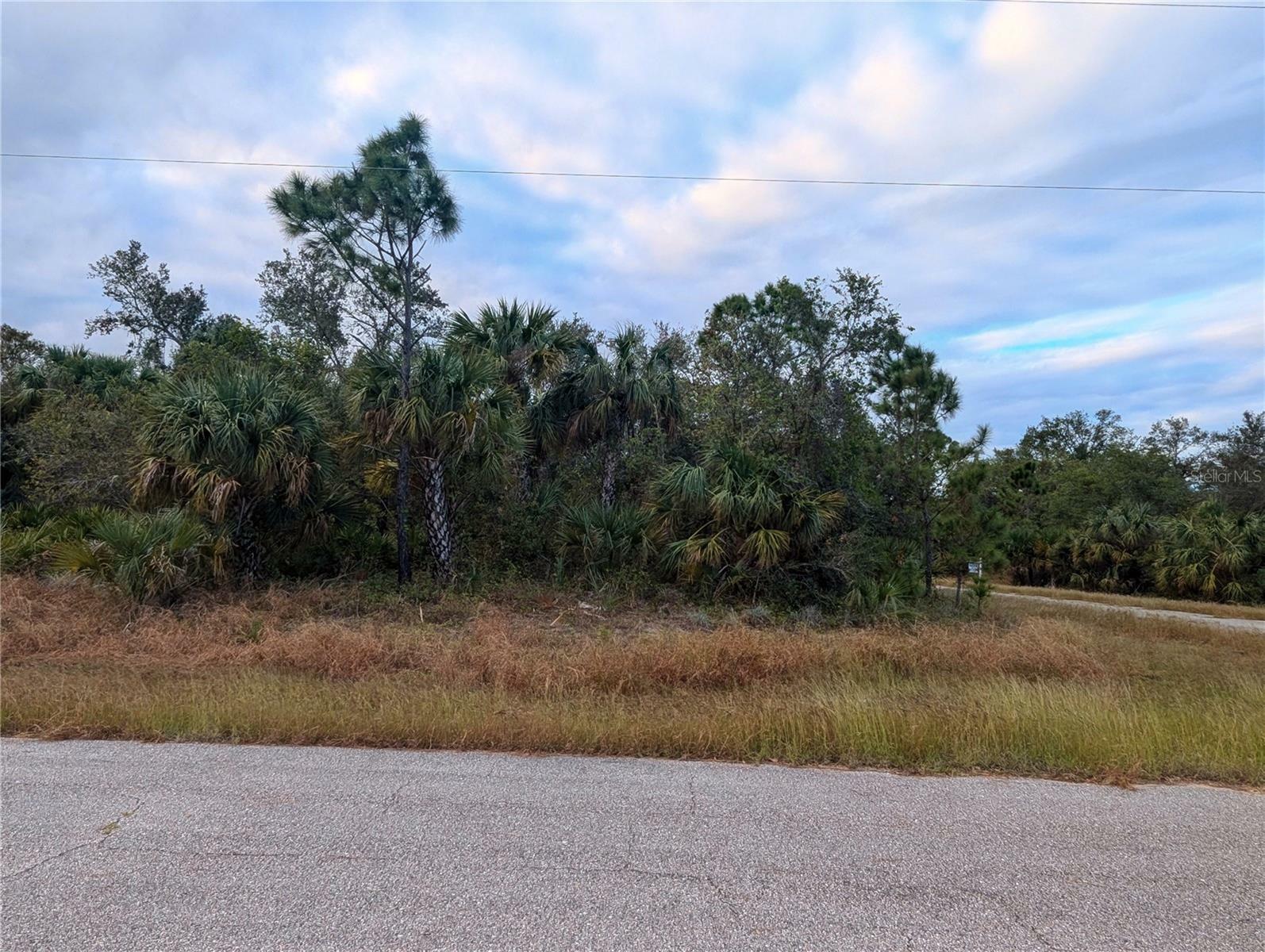 Property Photo:  Lot 11 Mattox Circle  FL 34288 