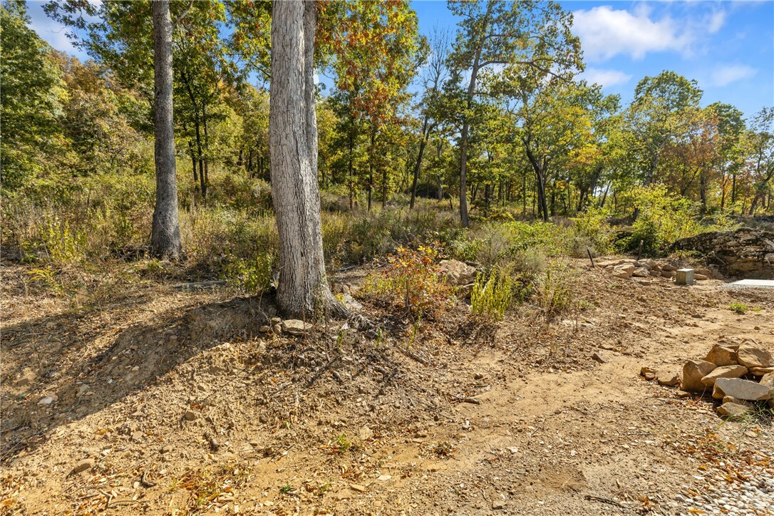 Property Photo:  Lot 51 Restore Ridge  AR 72601 