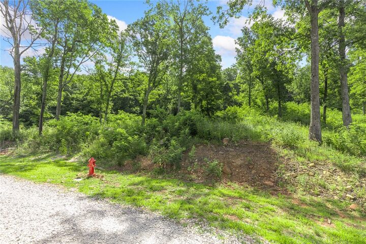 Property Photo: Lot 51 Restore Ridge AR 72601