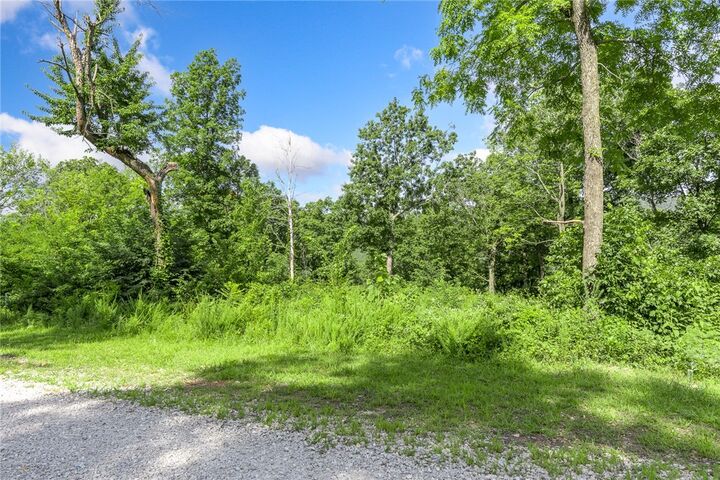 Property Photo: Lot 30 Peaceful Place AR 72601