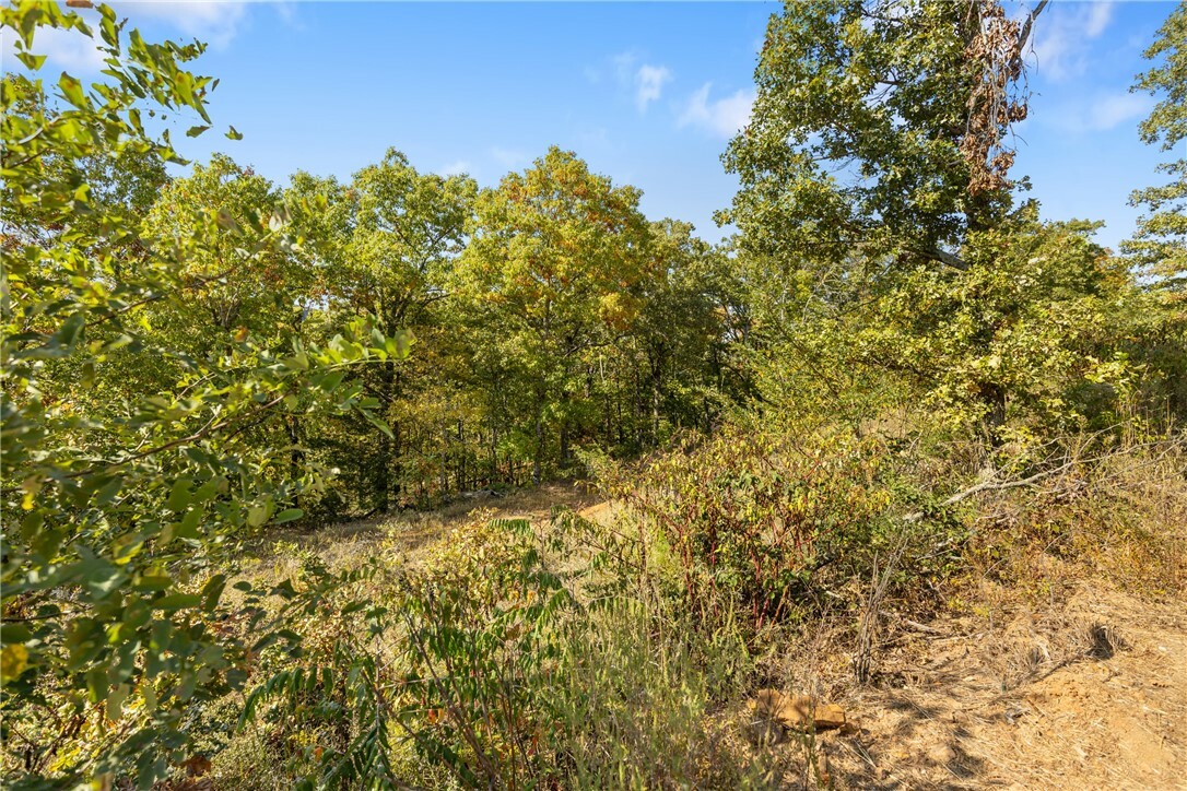 Property Photo:  Lot 24 Peaceful Place  AR 72601 