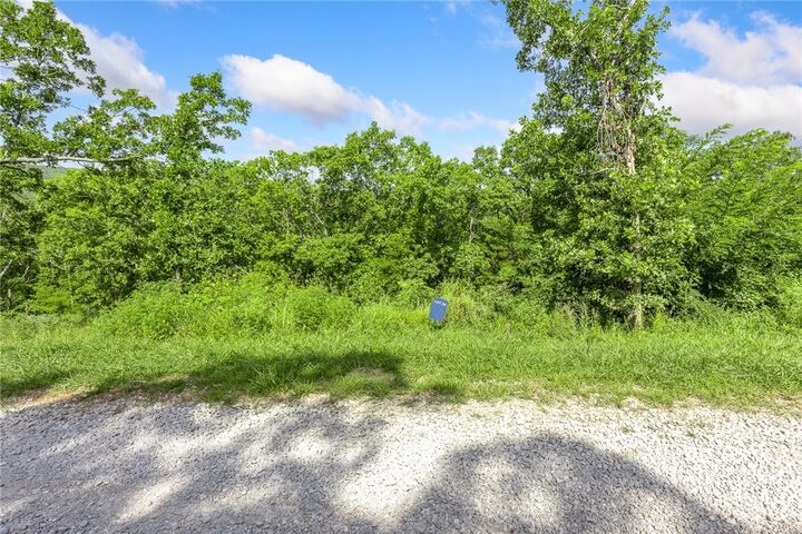 Property Photo: Lot 24 Peaceful Place AR 72601