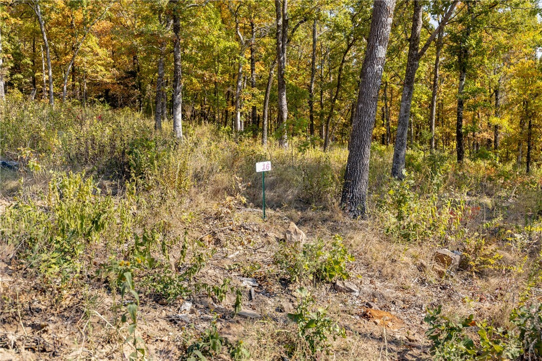 Property Photo:  Lot 16 Peaceful Place  AR 72601 