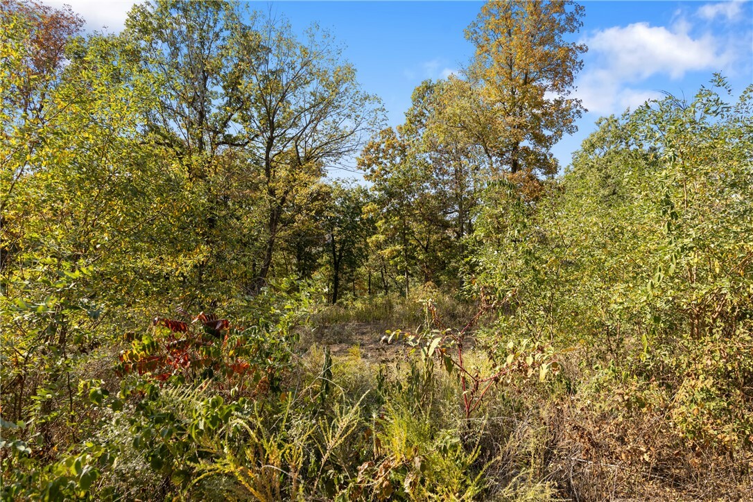 Property Photo:  Lot 29 Peaceful Place  AR 72601 