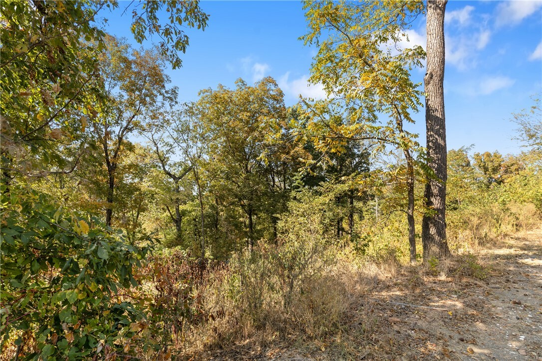 Property Photo:  Lot 26 Peaceful Place  AR 72601 