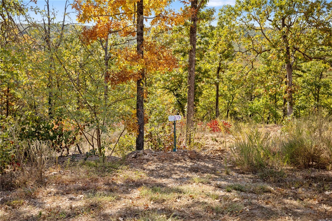 Property Photo:  Lot 20 Restore Ridge  AR 72601 