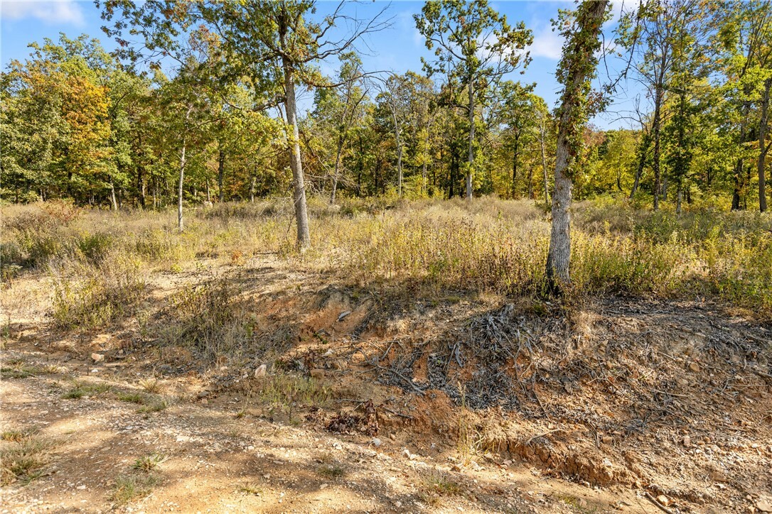 Property Photo:  Lot 45 Restore Ridge  AR 72601 