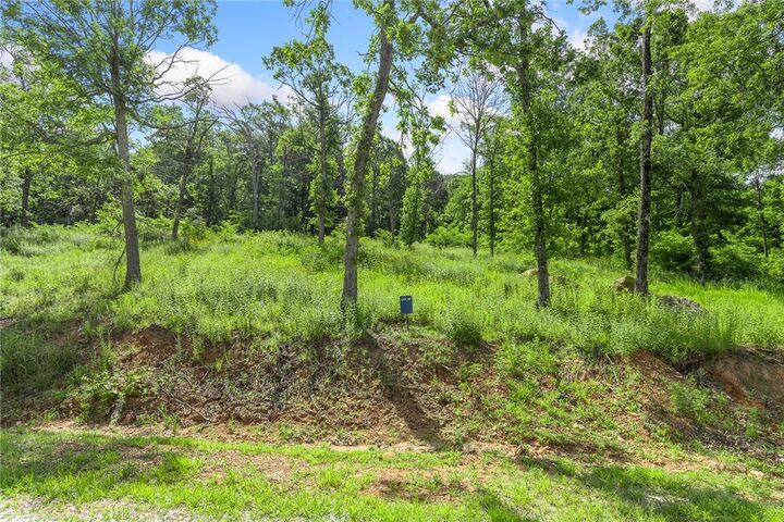 Property Photo: Lot 45 Restore Ridge AR 72601