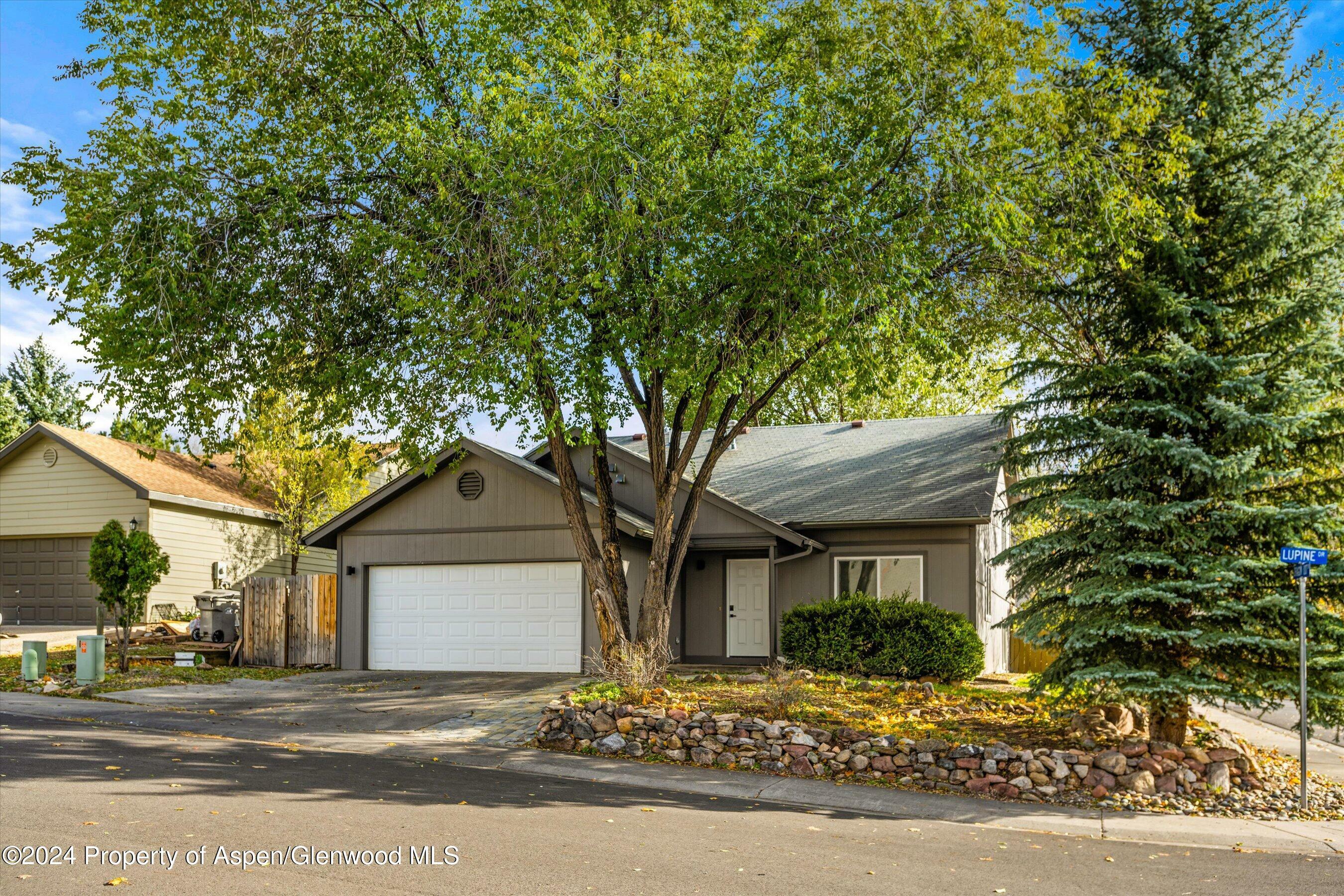 Property Photo:  203 Lupine Drive  CO 81647 