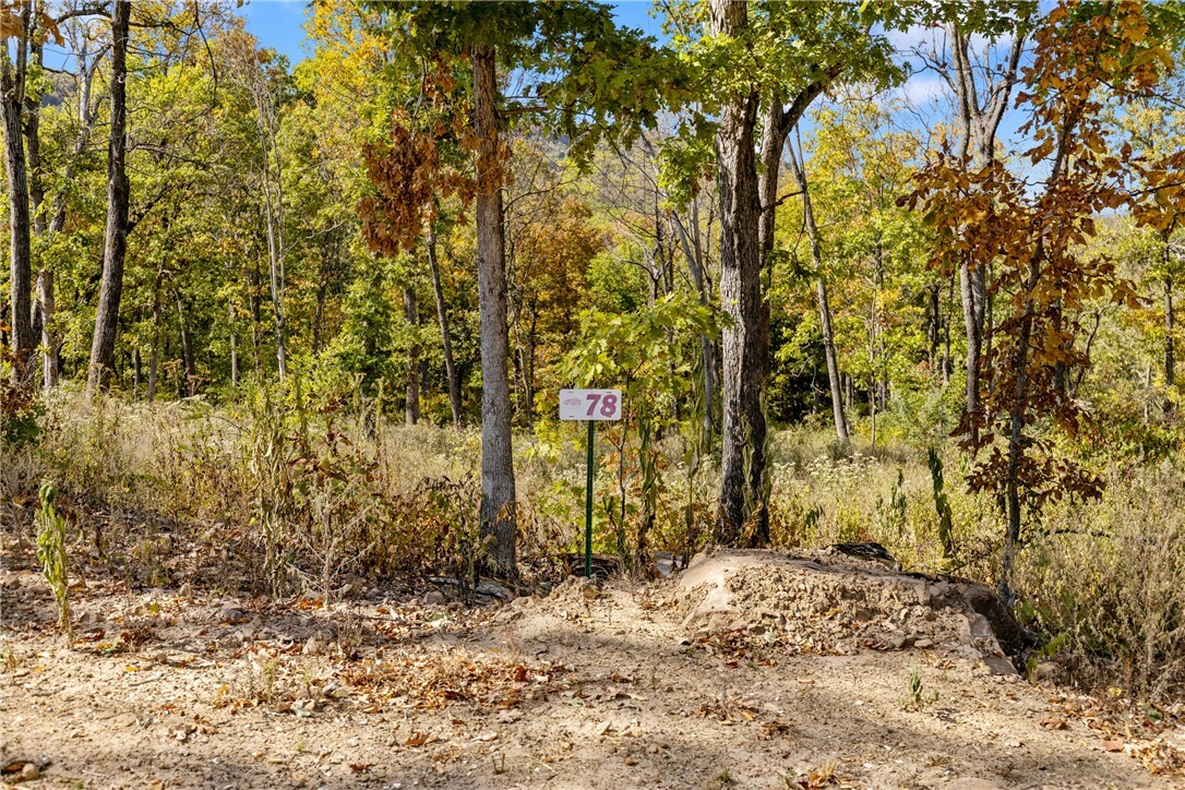 Property Photo:  Lot 78 Restore Ridge  AR 72601 