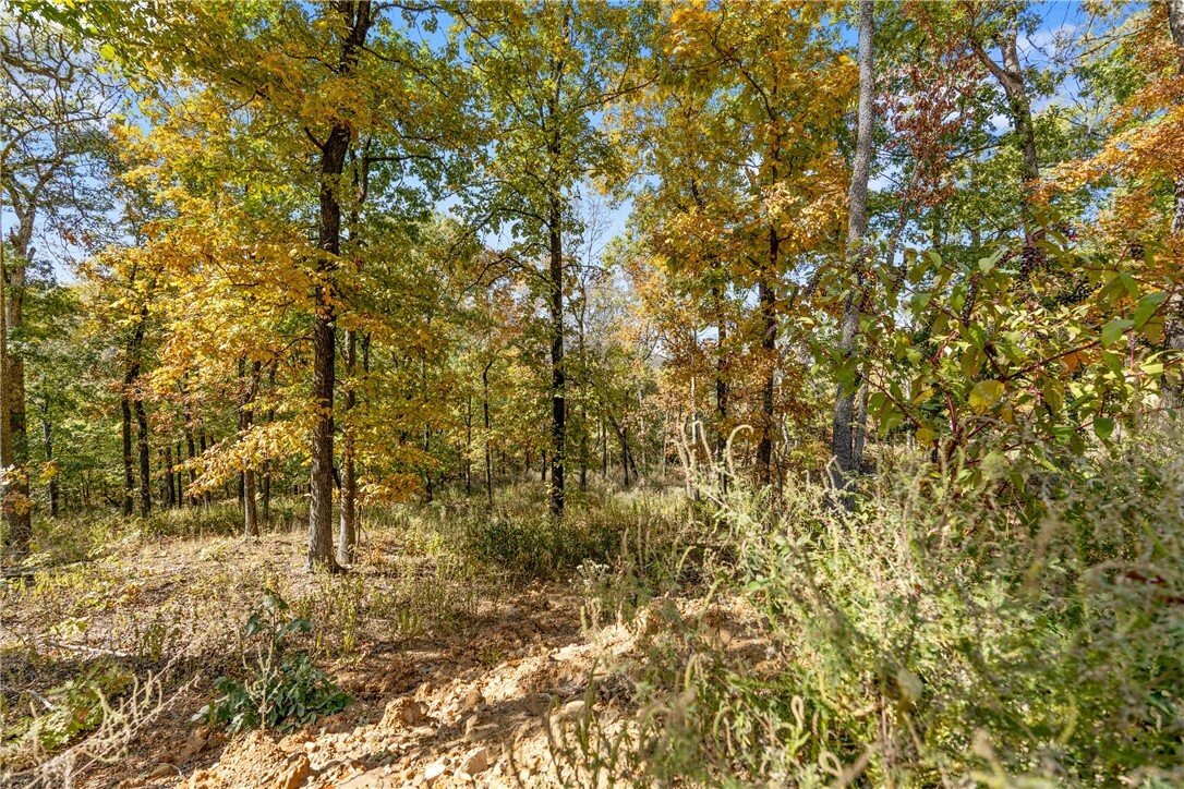 Property Photo:  Lot 70 Restore Ridge  AR 72601 