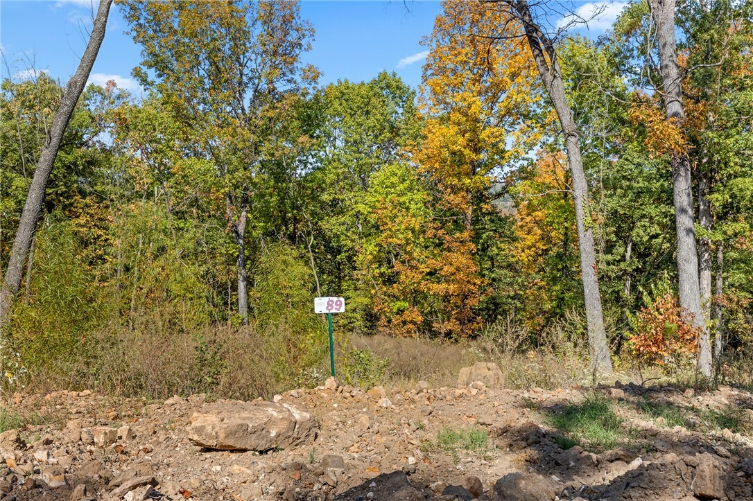 Property Photo:  Lot 89 Restore Circle  AR 72601 