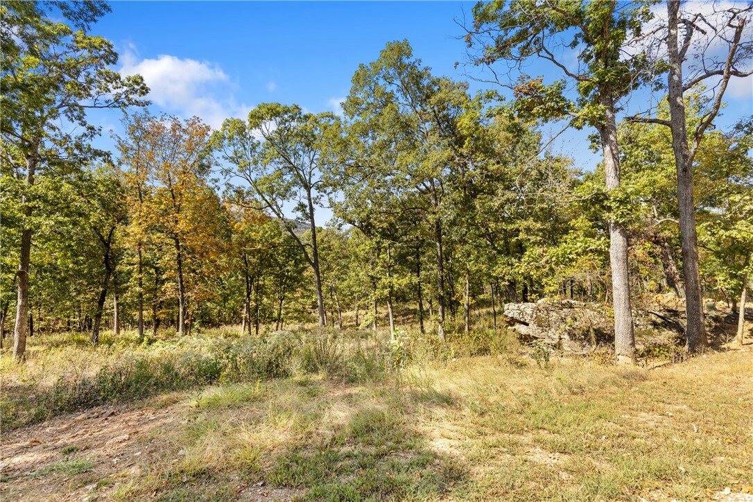 Property Photo:  Lot 75 Restore Ridge  AR 72601 