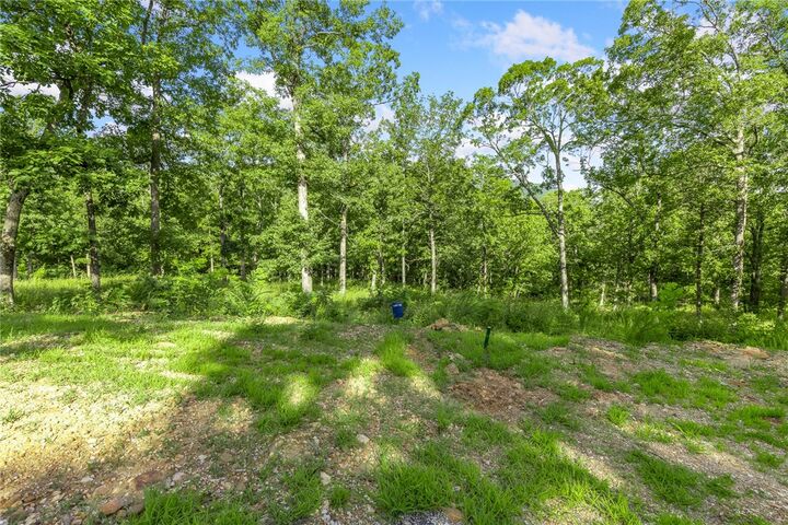 Property Photo: Lot 75 Restore Ridge AR 72601