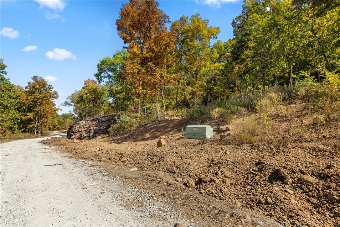 Property Photo:  Lot 117 Significance Summit  AR 72601 