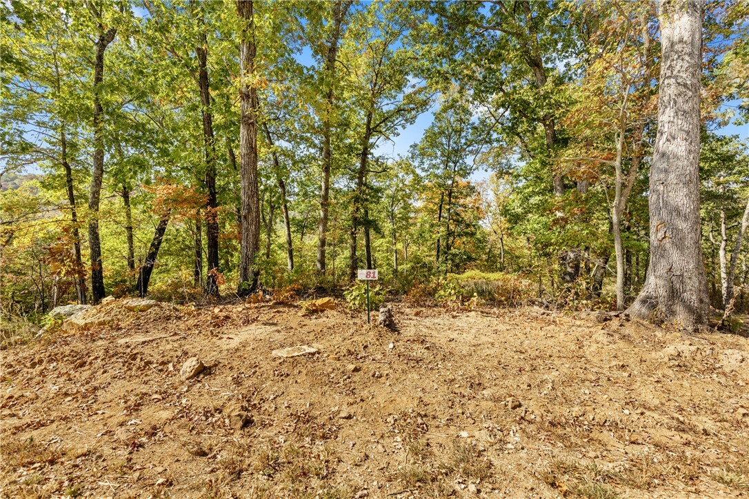 Property Photo:  Lot 81 Restore Ridge  AR 72601 