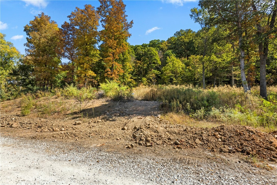 Property Photo: Lot 119 Significance Summit AR 72601