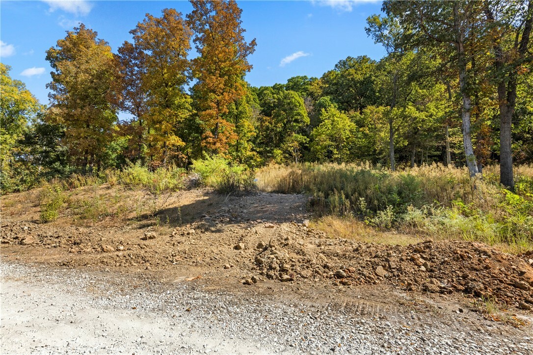 Property Photo:  Lot 119 Significance Summit  AR 72601 