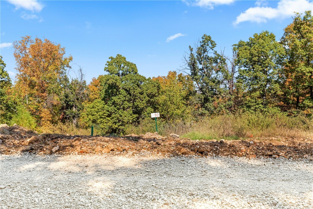 Lot 92 Restore Circle  Harrison AR 72601 photo