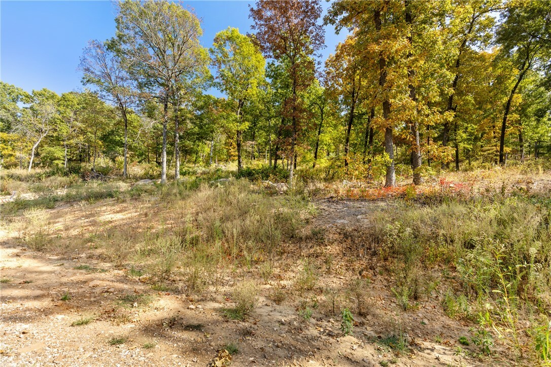 Property Photo:  Lot 58 Restore Ridge  AR 72601 