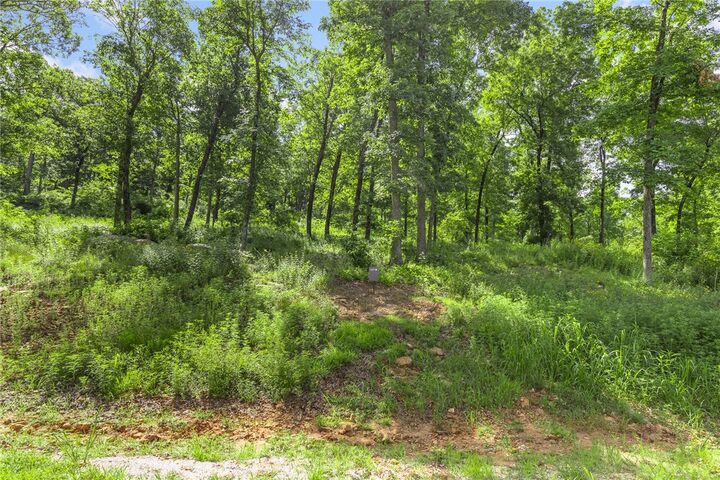 Property Photo: Lot 58 Restore Ridge AR 72601