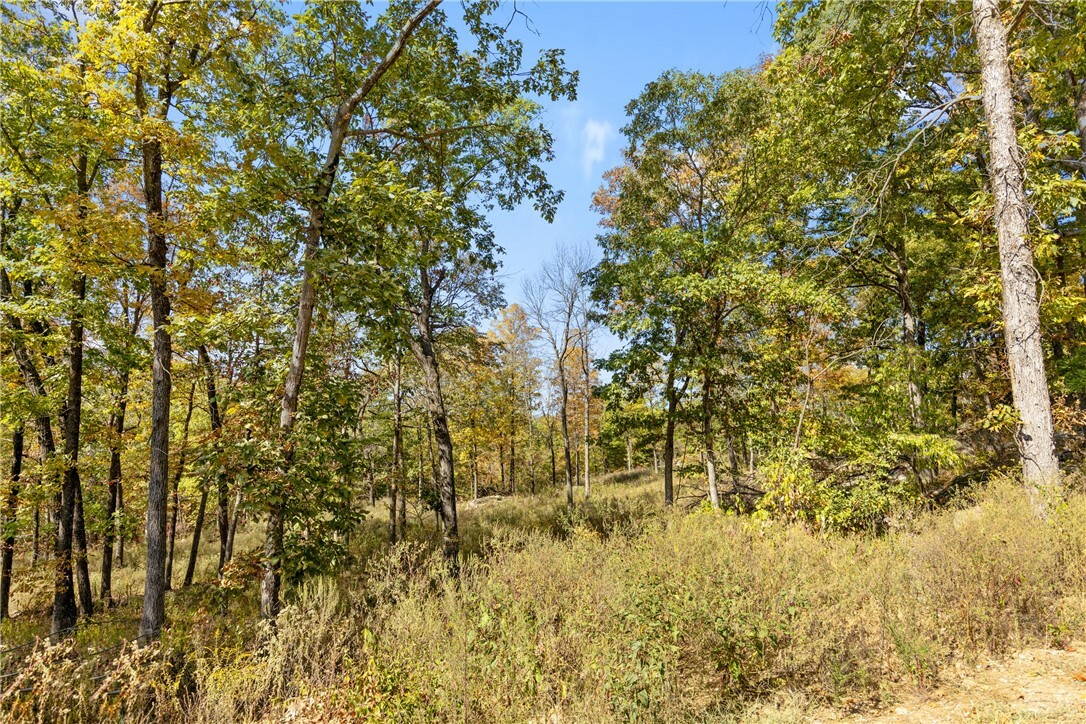 Property Photo:  Lot 71 Restore Ridge  AR 72601 