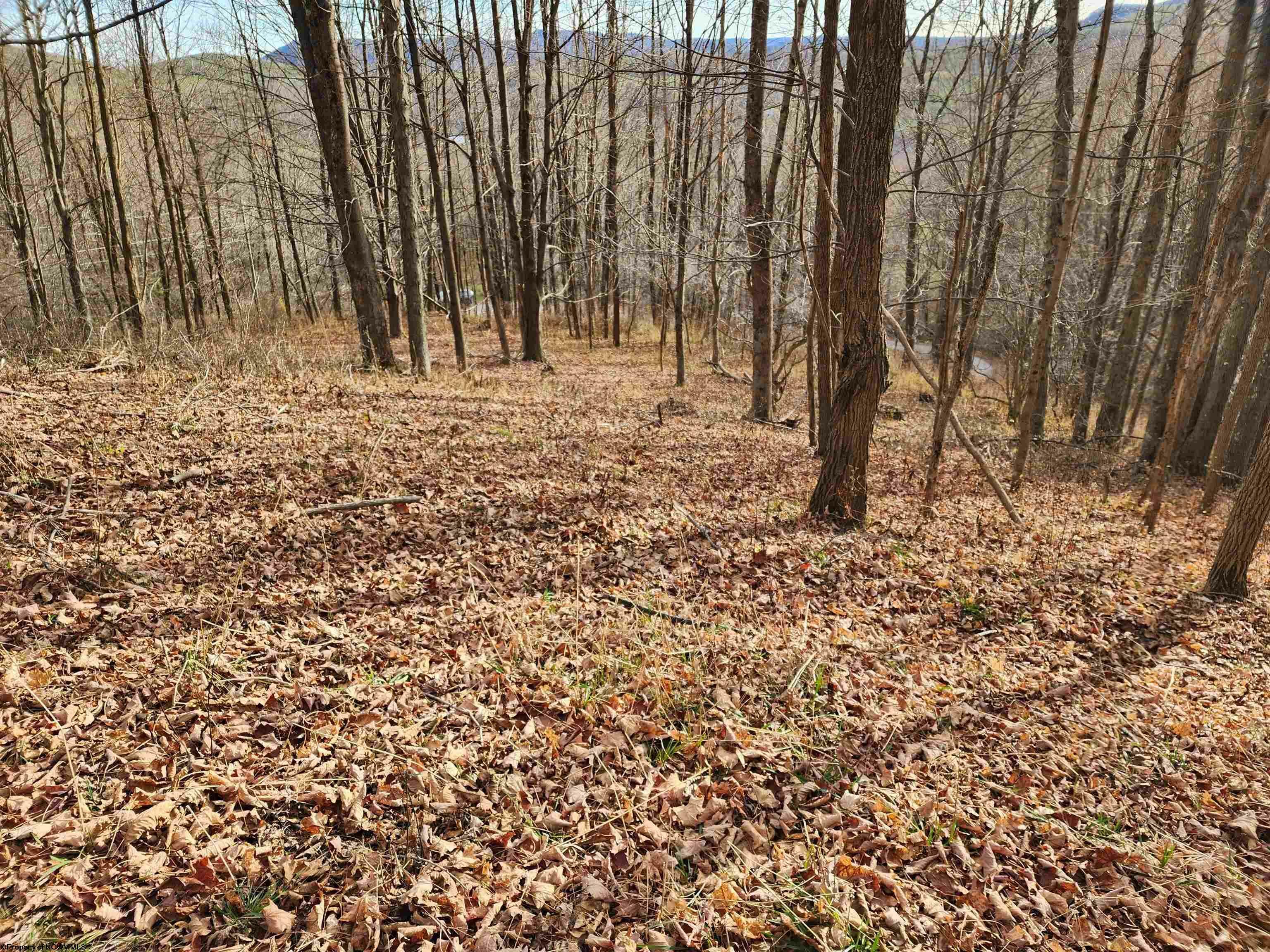 Property Photo:  Lot 4 High Mountain Road  WV 26270 