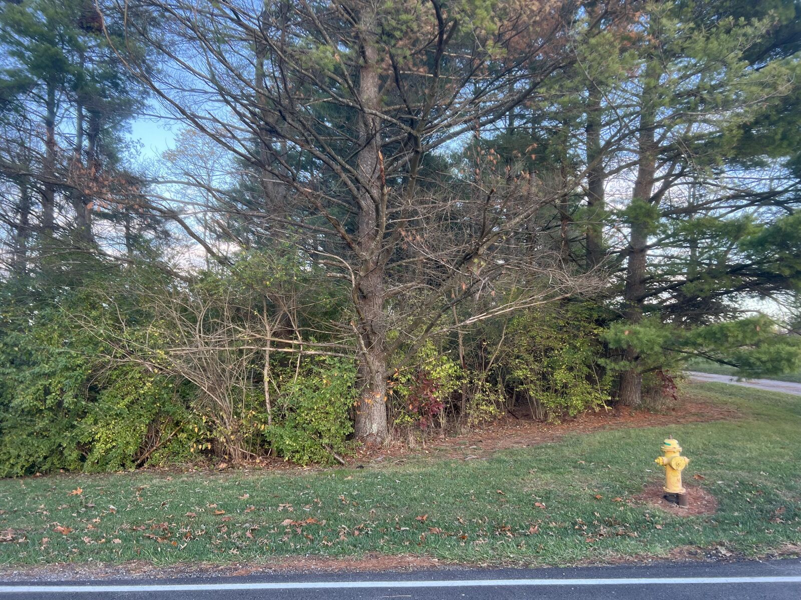 Property Photo:  12187 Klein Road  KY 41063 