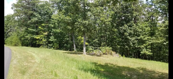 2910 Lindsey Drive  Elliston VA 24087 photo