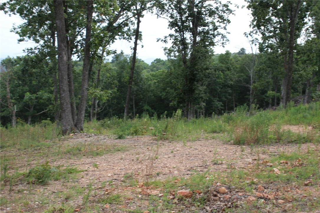 Property Photo:  Tract 6 Mc 5039  AR 72682 