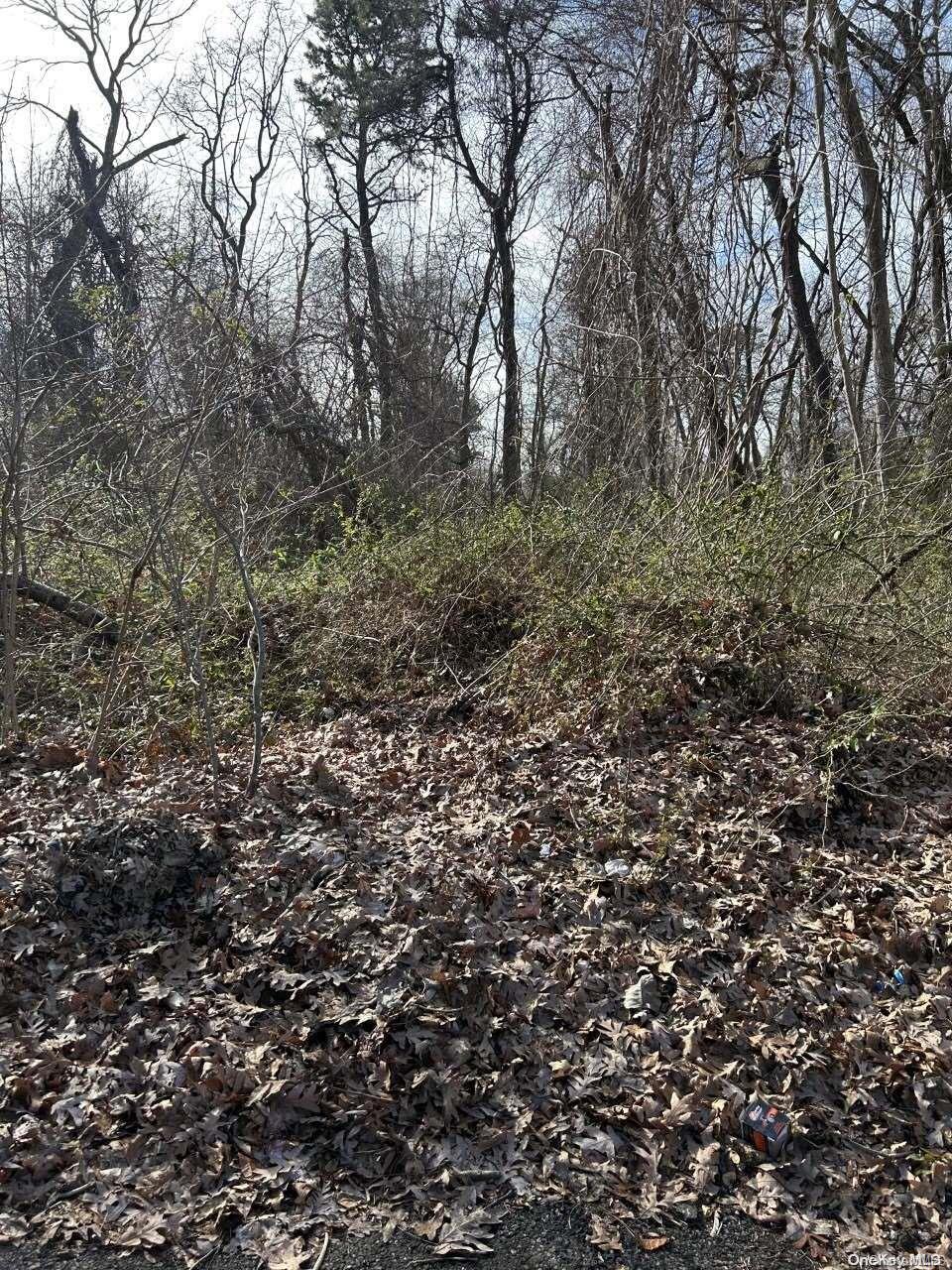 16 Doe Street  Wyandanch NY 11798 photo