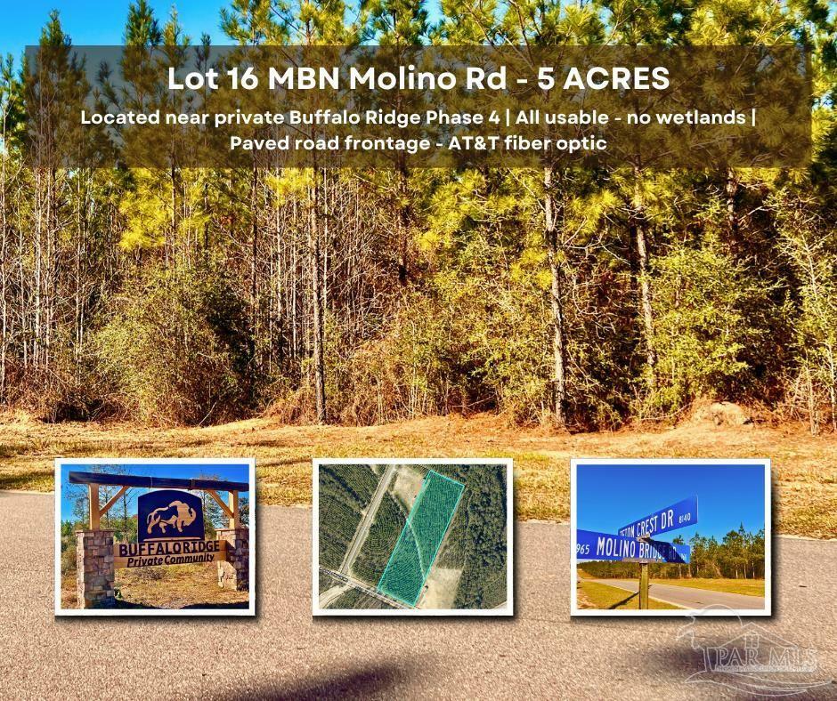 Property Photo: Lot 16 Mbn Molino Bridge Rd FL 32571