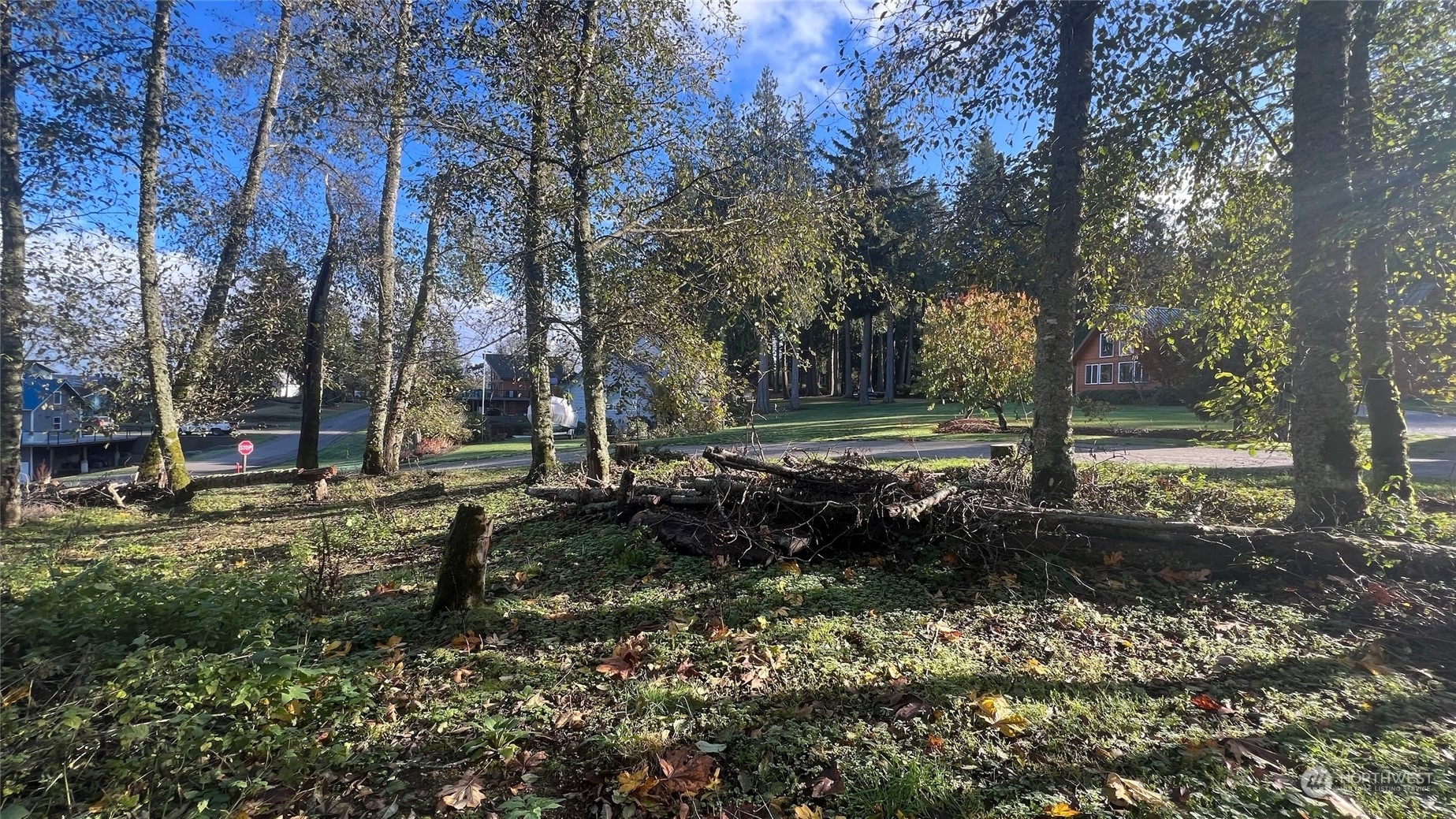 Property Photo: 54 A Saratoga Drive WA 98206