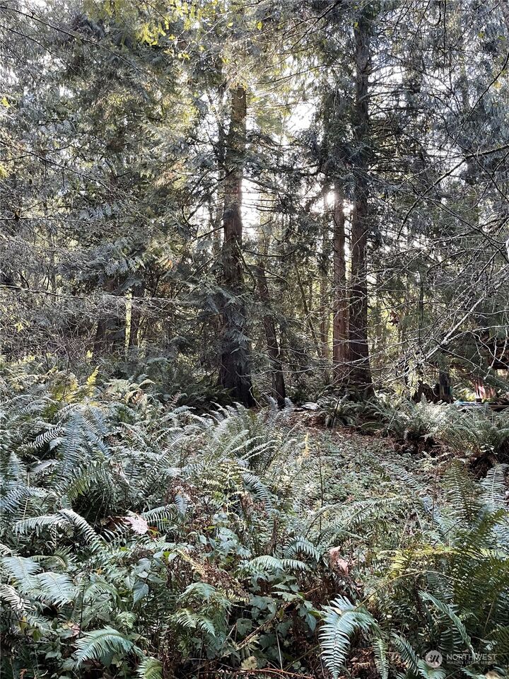 Property Photo: 0 5xx Dodger Lane WA 98363