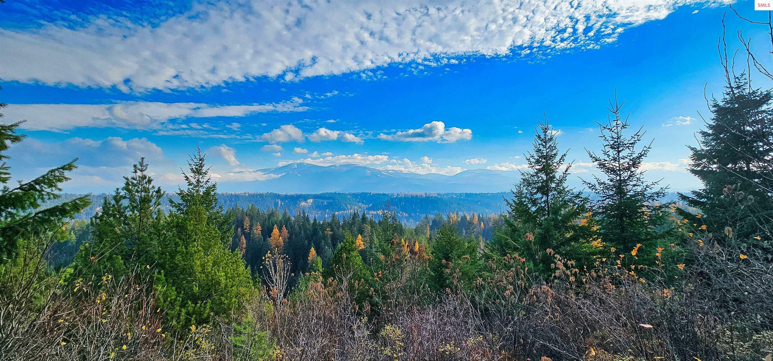 Nna 35 Acres Otter Lane  Naples ID 83847 photo