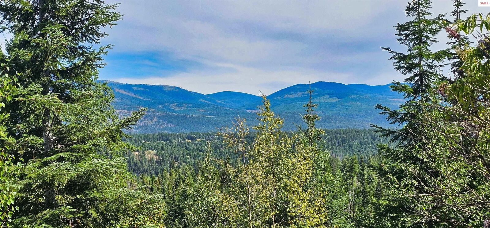 Property Photo: Nna 35 Acres Otter Lane ID 83847