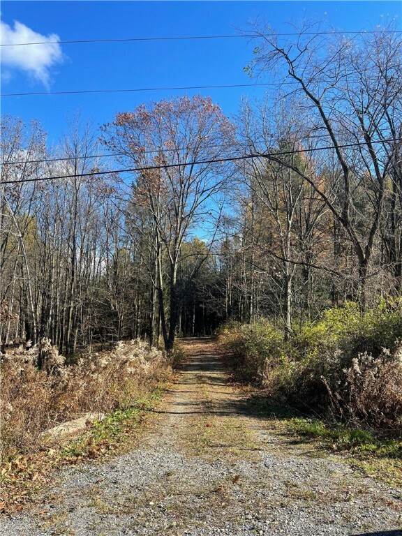 0 Carney Hollow Road  Springwater NY 14560 photo