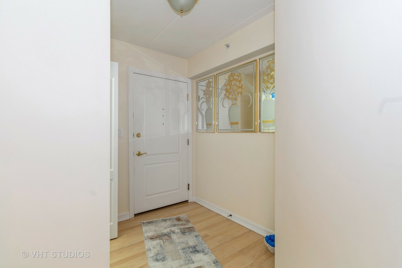 Property Photo:  511 N Cass Avenue 3A  IL 60559 