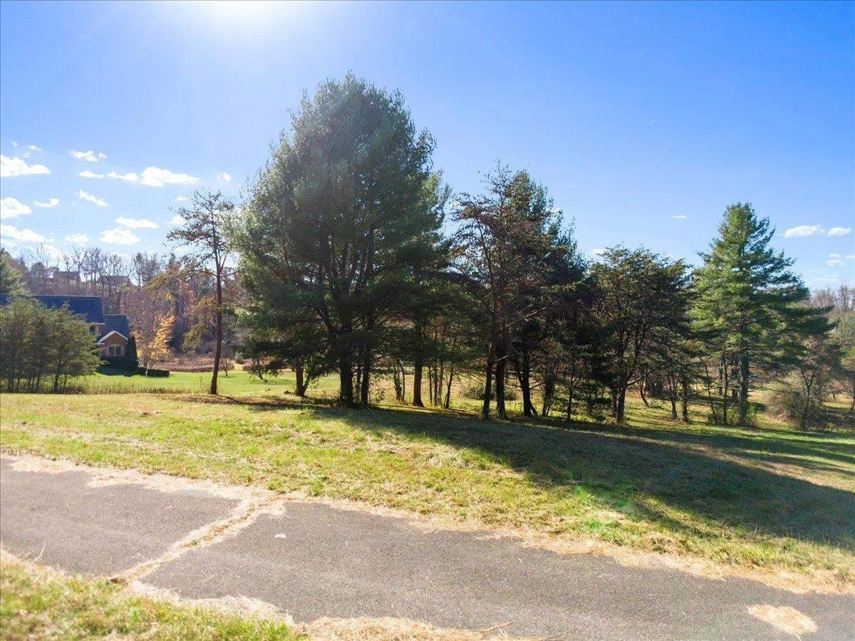 Property Photo:  Tbd Lot 2 Bishop Road  VA 24060 