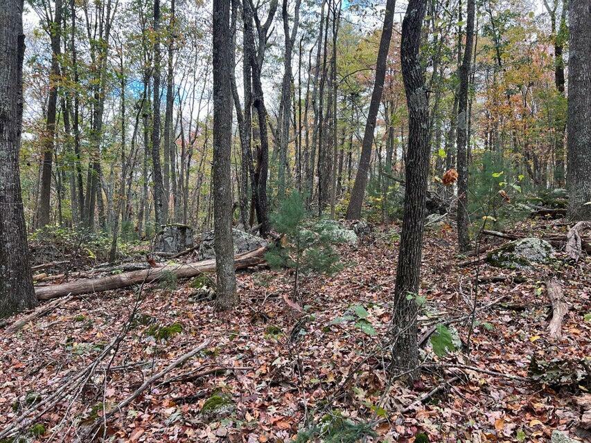 Property Photo:  Lot 20 Bear Trak  WV 24941 