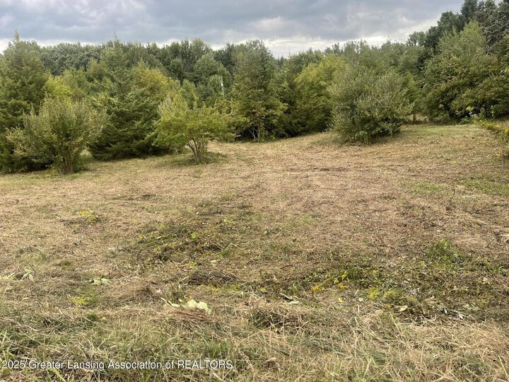 Property Photo:  9584 Butler Road  MI 48875