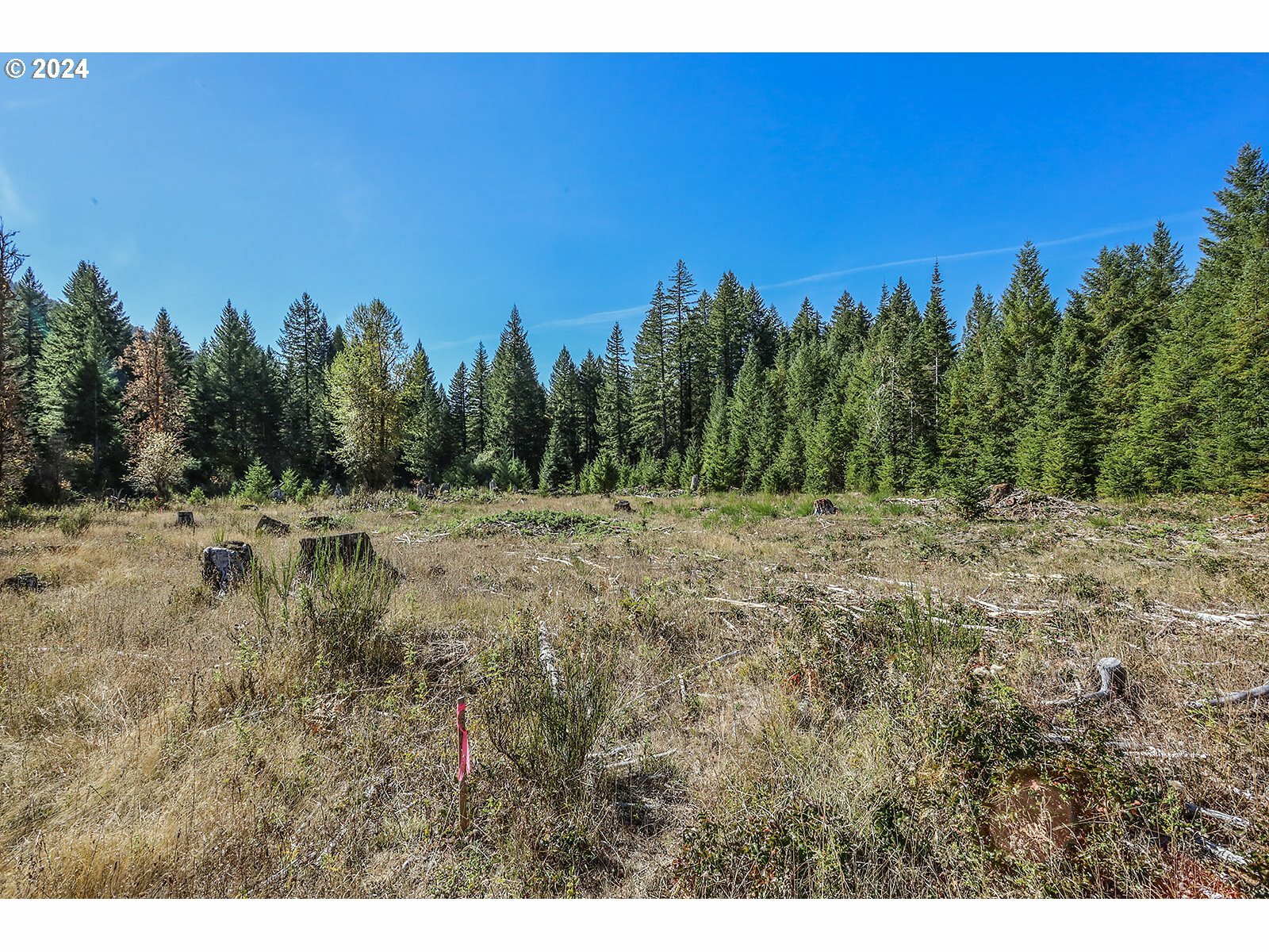 Property Photo:  10732 Wind River Hwy  WA 98610 