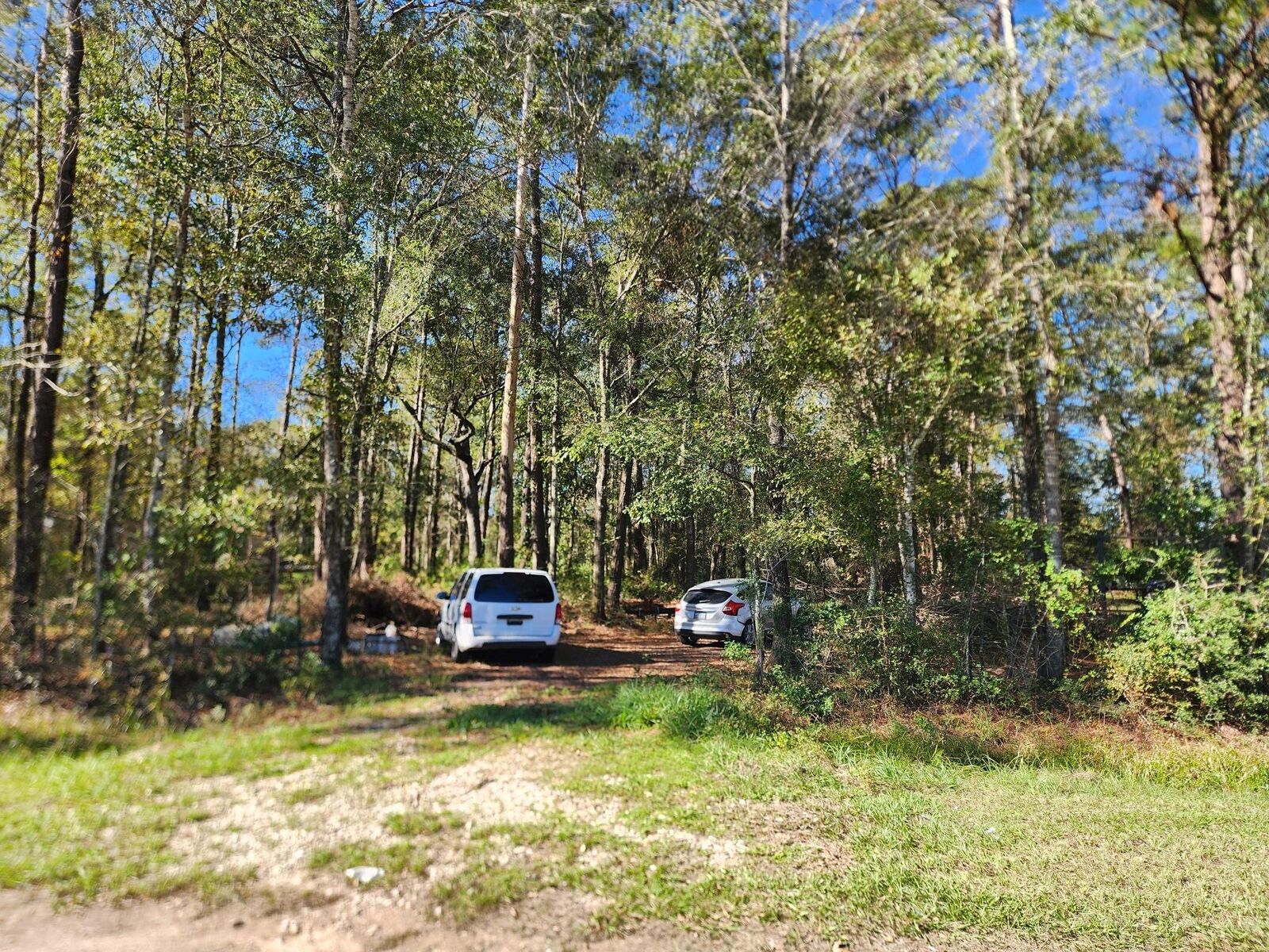 Property Photo:  255 County Road 3662  TX 77372 
