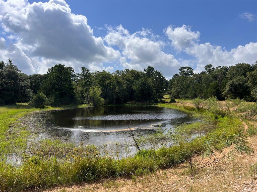 Property Photo:  Tbd Big Pasture Road  TX 78934 