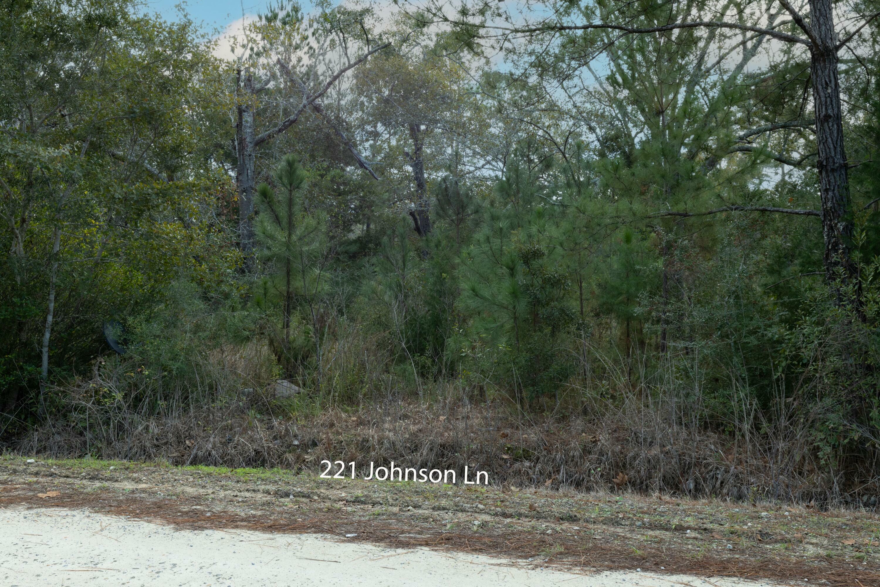 Property Photo:  221 Johnson Lane  FL 32439 