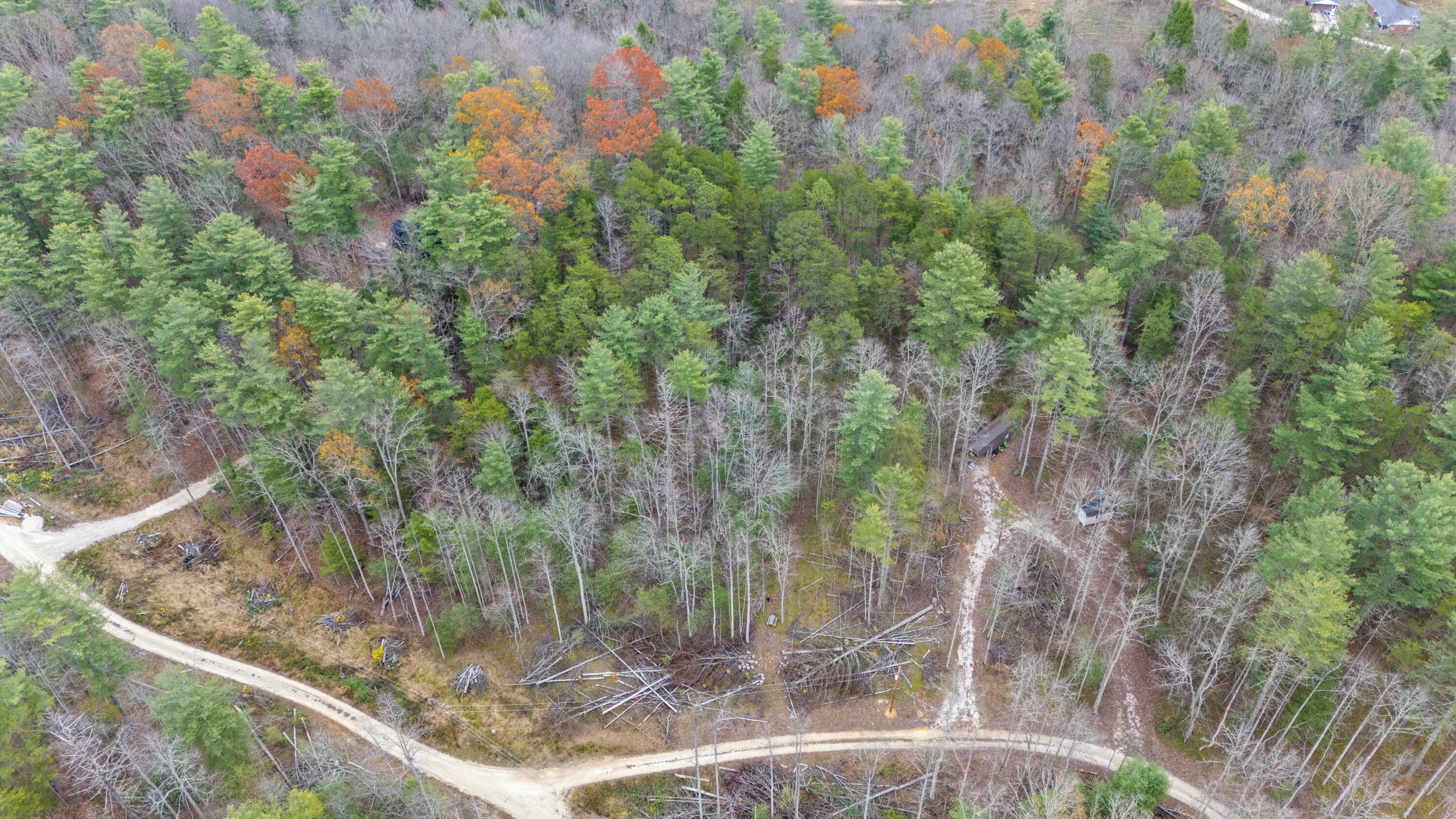 Property Photo:  345 Lot 8 Wolfe Lake Road  KY 41301 