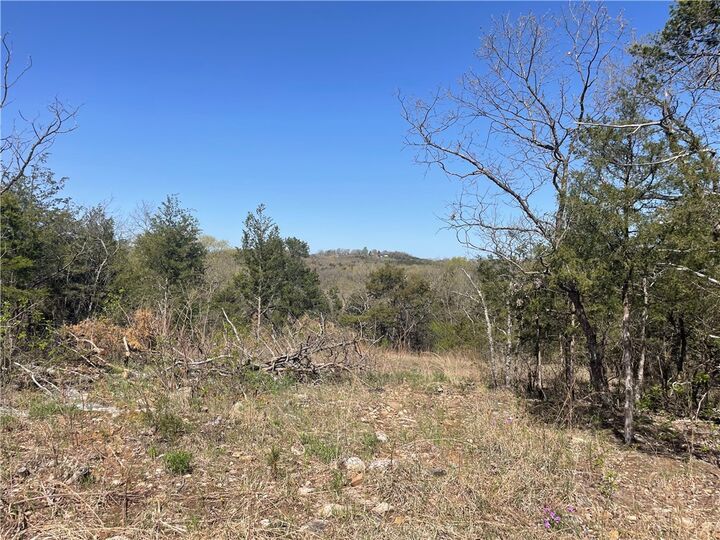 Property Photo:  (Lot 17) Mc 2048 Road  AR 72644