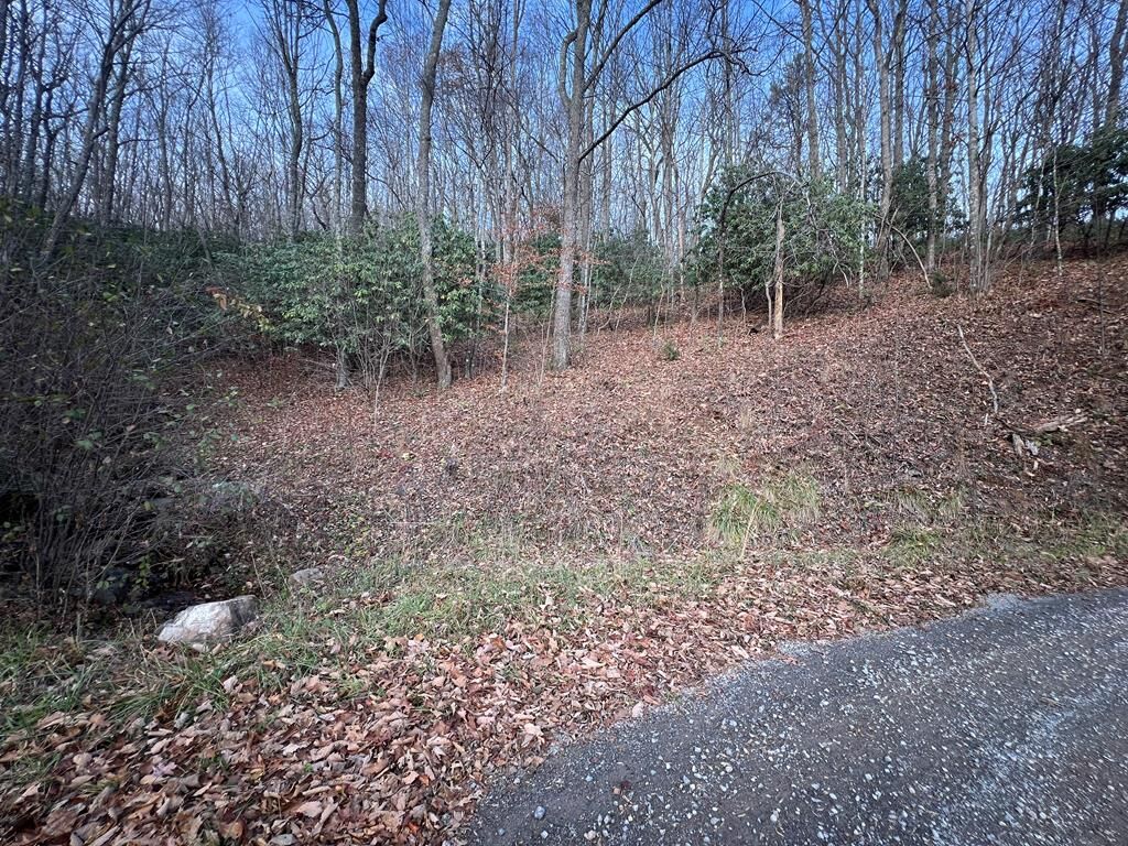 Property Photo:  Lot 65 Cove Creek Road  VA 24651 